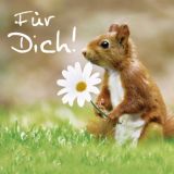 Quadro Allg. Glückwünsche