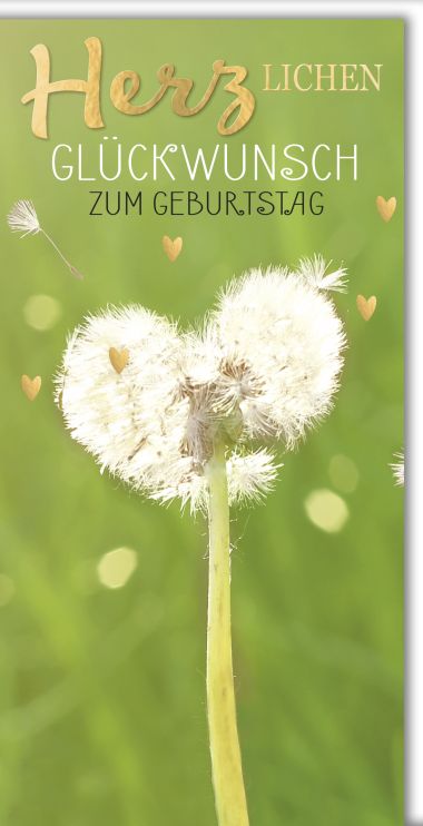  - Allgemeine Kollektion-Hauptdevisen - Geburtstag DIN Lang - Geburtstag DIN Lang