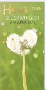 Geburtstag DIN Lang