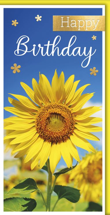  - Allgemeine Kollektion-Hauptdevisen - Geburtstag DIN Lang - Geburtstag DIN Lang