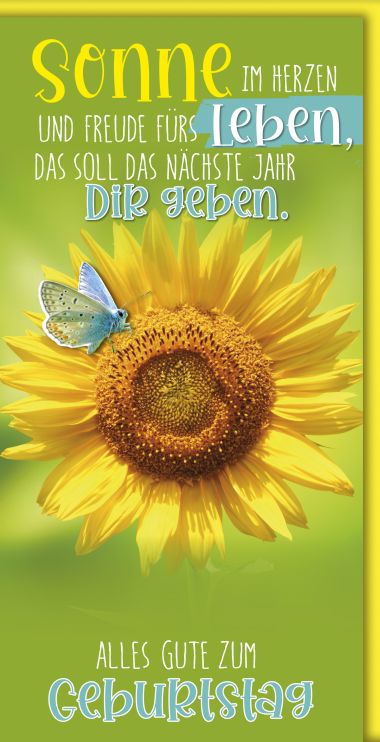  - Allgemeine Kollektion-Hauptdevisen - Geburtstag DIN Lang - Geburtstag DIN Lang
