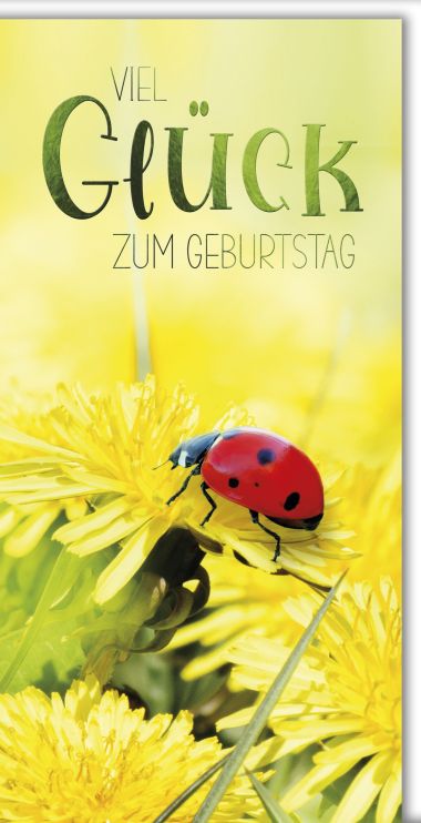  - Allgemeine Kollektion-Hauptdevisen - Geburtstag DIN Lang - Geburtstag DIN Lang