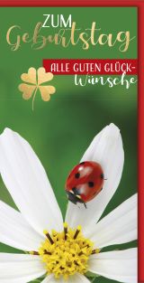 Geburtstag DIN Lang