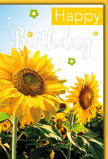  - Allgemeine Kollektion-Hauptdevisen - Geburtstag - Geburtstag