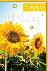 Geburtstag