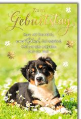 Geburtstag