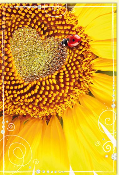  - Allgemeine Kollektion-Hauptdevisen - Blanco 12 x 17 cm - wfa Blanco - Sonnenblumen