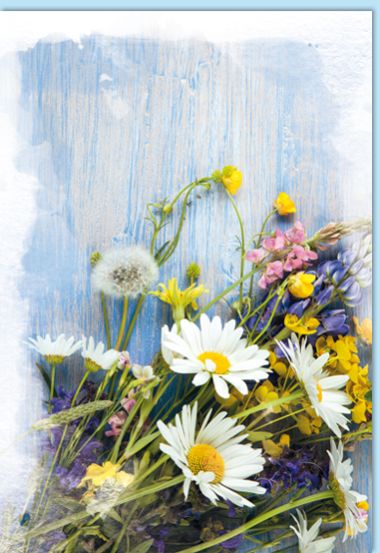  - Allgemeine Kollektion-Hauptdevisen - Blanco 12 x 17 cm - Blanco - Wiesenblumen