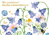KK quer Geburtstag