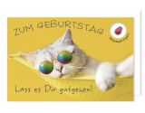 AC KK quer Geburtstag