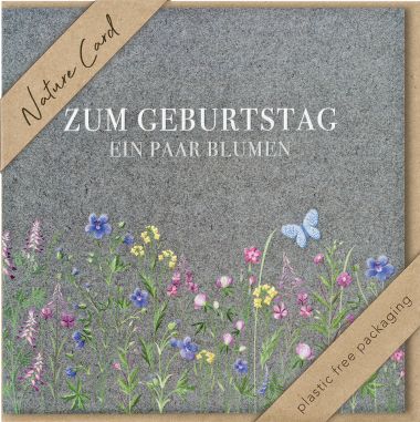  - Allgemeine Kollektion-Hauptdevisen - Geburtstag - KK quadratisch Geburtstag