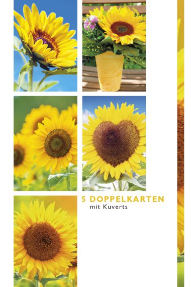  - Allgemeine Kollektion-Hauptdevisen - Fotokarten Böxli - Böxli Blanco - Sonnenblumen