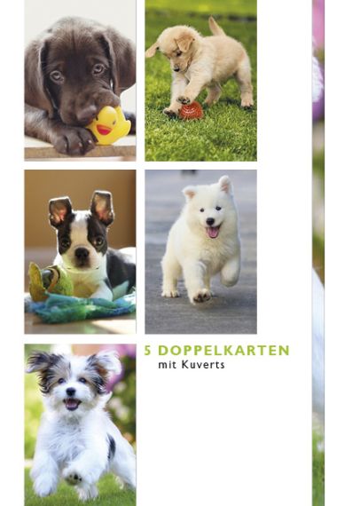  - Allgemeine Kollektion-Hauptdevisen - Fotokarten Böxli - Böxli Blanco - Hunde