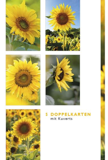  - Allgemeine Kollektion-Hauptdevisen - Fotokarten Böxli - Böxli Blanco - Sonnenblumen