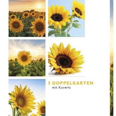  - Allgemeine Kollektion-Hauptdevisen - Fotokarten Böxli - Böxli Blanco - Sonnenblumen