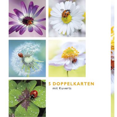  - Allgemeine Kollektion-Hauptdevisen - Fotokarten Böxli - Böxli Blanco - Marienkäfer