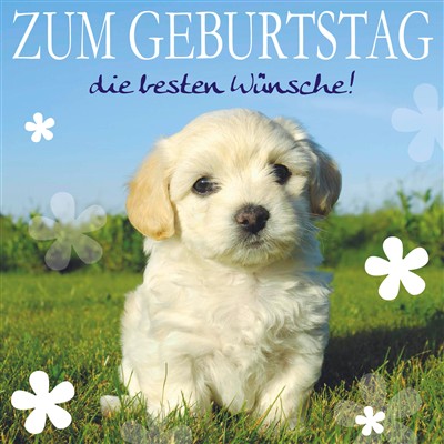wfa Geburtstag