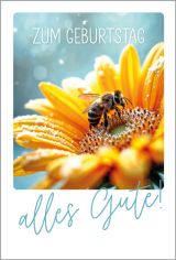 IND.ALLG.GL&Uuml;CKWUNSCHKARTE