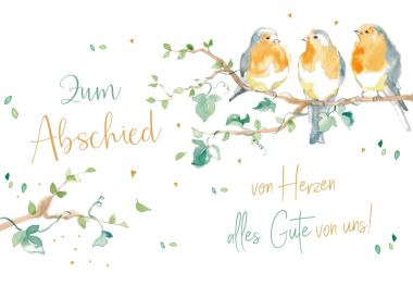  - Auslaufende Serien - Green Karma - wfa KK quer Abschied