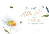 wfa KK quer Geburtstag