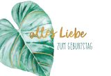wfa KK quer Geburtstag
