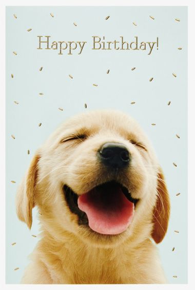  - Allgemeine Kollektion-Hauptdevisen - Geburtstag - wfa KK hoch Happy Birthday