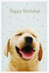 wfa KK hoch Happy Birthday