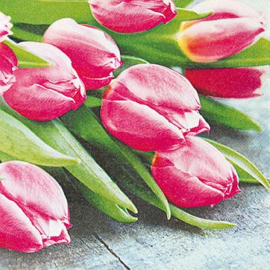  - Geschenkartikel Allgemein - Servietten Gross - Servietten bunt
