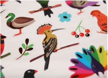  - Geschenkartikel Allgemein - Stickers - wfa Classy Stickers Vögel