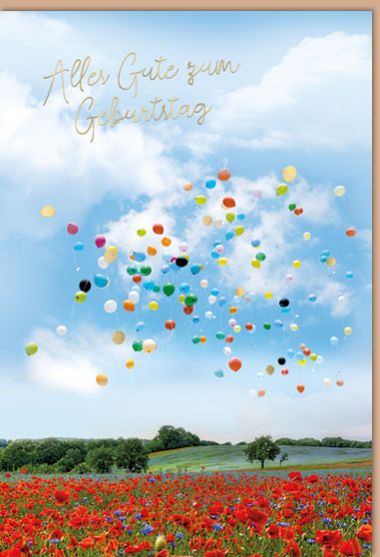  - Allgemeine Kollektion-Hauptdevisen - Geburtstag - wfa KK Geburtstag hoch