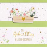 KK quadratisch Geburtstag