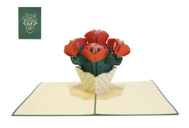  - Serien - Kirigami - KK hoch Blanco