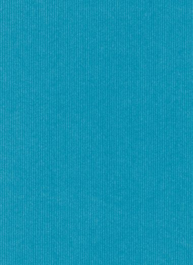  - Geschenkartikel Allgemein - Geschenkrollen - wfa Natronkraftpapier, blau