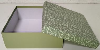  - Geschenkartikel Allgemein - Geschenkschachteln - Kartonage Hellgrün mit Punkten