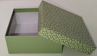  - Geschenkartikel Allgemein - Geschenkschachteln - Kartonage Hellgrün mit Punkten
