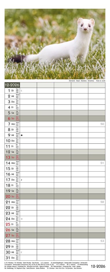  - Kalender - Familienkalender - Suisse Wildlife Family Timer