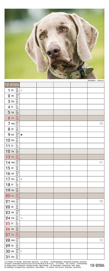  - Kalender - Familienkalender - Suisse Dogs Family Timer