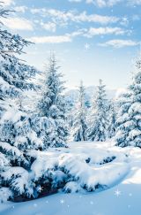 Blanco Winter