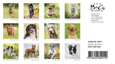  - Kalender - Geburtstagskalender - Geburtstagskalender Leporello Dogs