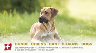 Geburtstagskalender Leporello Dogs
