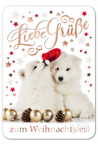  - Weihnachtskollektion - PK Klein - wfa Doppeltext WH