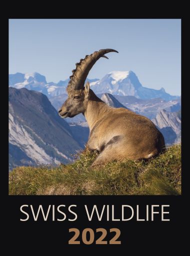 Ind.Kal. Swiss Wildlife