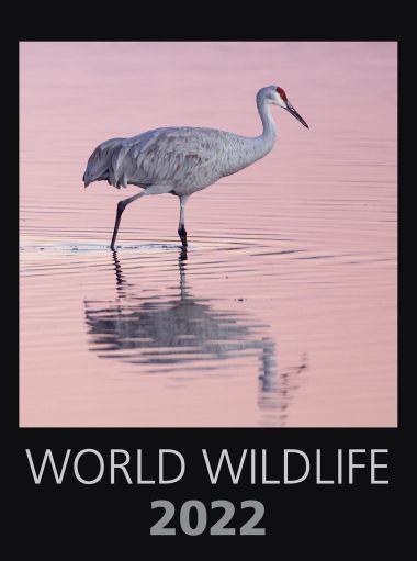 Ind.Kal. World Wildlife