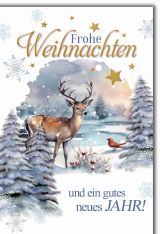 Böxli Weihnachten plastikfrei