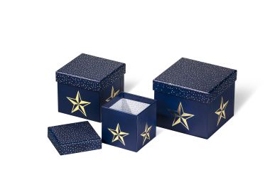  - Weihnachtskollektion - Geschenkschachteln - wfa Kartonage Blue Starlight