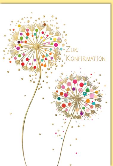  - Saison-Kollektion - Konfirmation - Konfirmation